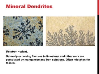 Mineral Dendrites




Dendron = plant.
Naturally occurring fissures in limestone and other rock are
percolated by manganes...