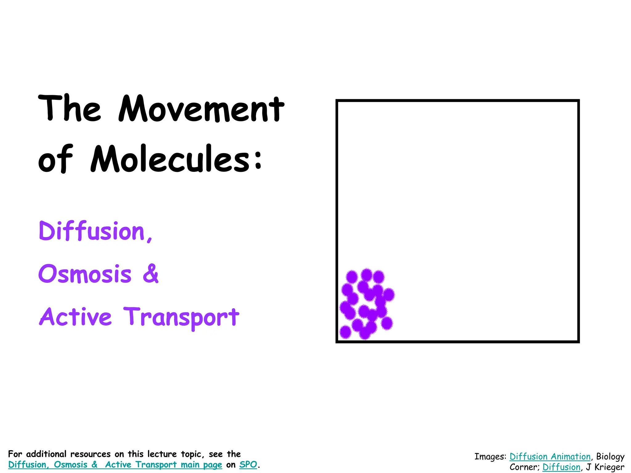 The Movement
of Molecules:
Diffusion,
Osmosis &
Active Transport
Images: Diffusion Animation, Biology
Corner; Diffusion, J Krieger
For additional resources on this lecture topic, see the
Diffusion, Osmosis & Active Transport main page on SPO.
 