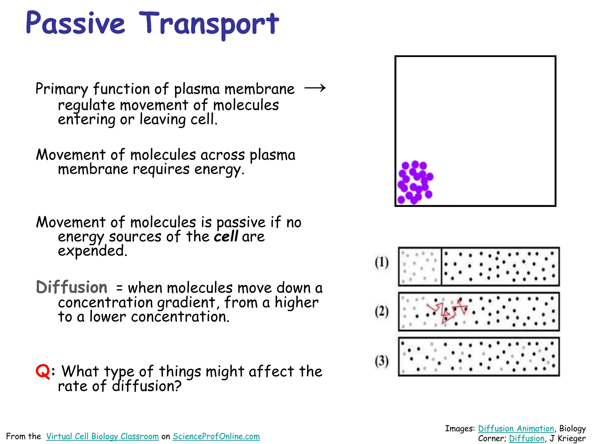 Passive Transport
Primary function of plasma membrane →
regulate movement of molecules
entering or leaving cell.
Movement of molecules across plasma
membrane requires energy.
Movement of molecules is passive if no
energy sources of the cell are
expended.
Diffusion = when molecules move down a
concentration gradient, from a higher
to a lower concentration.
Q: What type of things might affect the
rate of diffusion?
Images: Diffusion Animation, Biology
Corner; Diffusion, J Krieger
From the Virtual Cell Biology Classroom on ScienceProfOnline.com
 