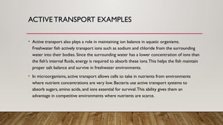Comprehensive Overview of Diffusion, Osmosis, and Active Transport in ...