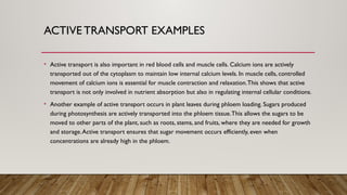 Comprehensive Overview of Diffusion, Osmosis, and Active Transport in ...