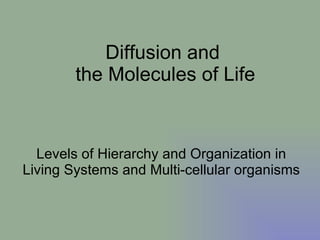 Diffusion and  the Molecules of Life Levels of Hierarchy and Organization in Living Systems and Multi-cellular organisms 