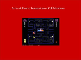 Active & Passive Transport into a Cell Membrane   
