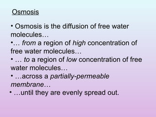 Diffusion And Osmosis