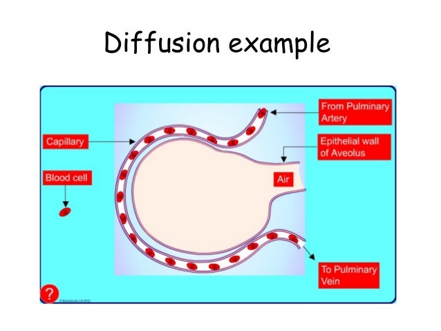 example of diffusion