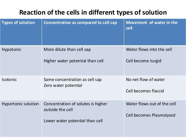 Diffusion And Osmosis