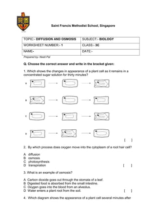 Saint Francis Methodist School, Singapore
TOPIC:- DIFFUSION AND OSMOSIS SUBJECT:- BIOLOGY
WORKSHEET NUMBER:- 1 CLASS:- 3C
NAME- DATE:-
Prepared by- Neeti Pal
Q. Choose the correct answer and write in the bracket given:
1. Which shows the changes in appearance of a plant cell as it remains in a
concentrated sugar solution for thirty minutes?
[ ]
2. By which process does oxygen move into the cytoplasm of a root hair cell?
A diffusion
B osmosis
C photosynthesis
D transpiration [ ]
3. What is an example of osmosis?
A Carbon dioxide goes out through the stomata of a leaf.
B Digested food is absorbed from the small intestine.
C Oxygen goes into the blood from an alveolus.
D Water enters a plant root from the soil. [ ]
4. Which diagram shows the appearance of a plant cell several minutes after
 