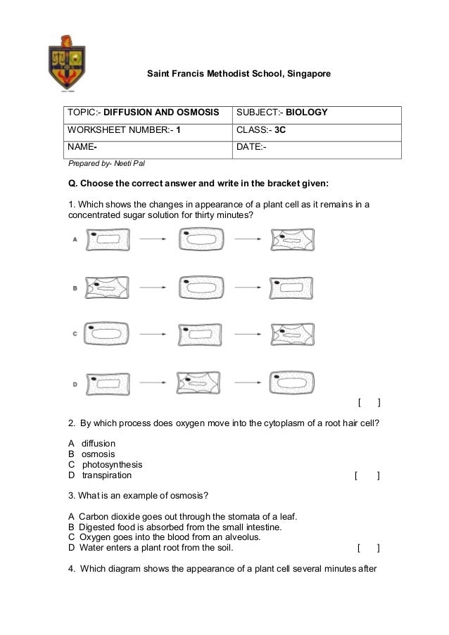 Featured image of post Biology Answer Key Biology Diffusion And Osmosis Worksheet Student slides are available for free