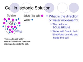 Diffusion and Osmosis PowerPoint Presentation | PPT