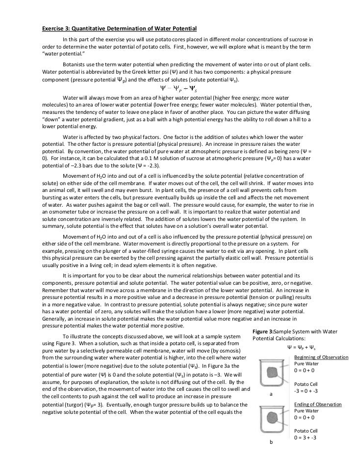 Osmosis And Water Potential Worksheet Answers Worksheet List