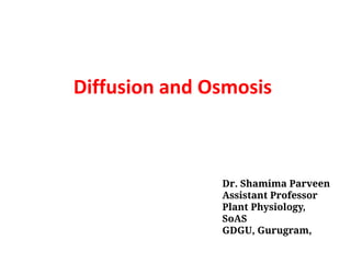 Diffusion and Osmosis
Dr. Shamima Parveen
Assistant Professor
Plant Physiology,
SoAS
GDGU, Gurugram,
 