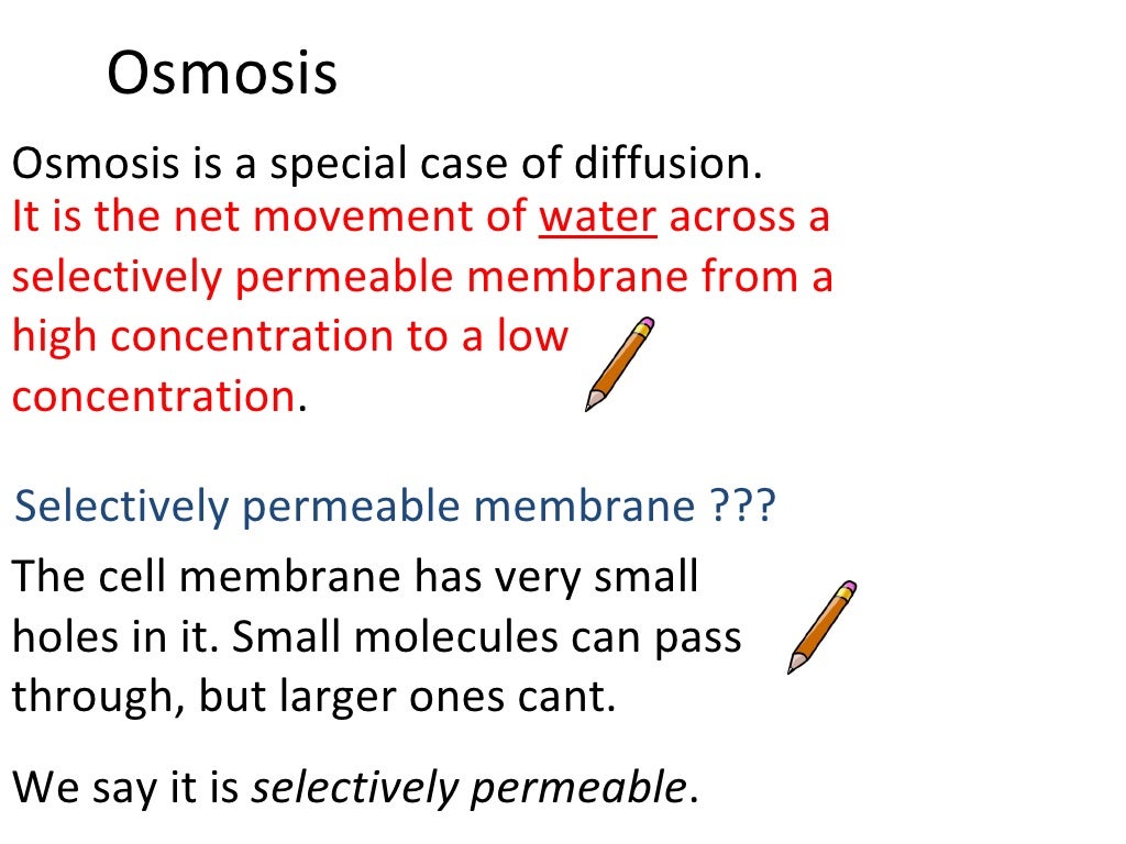 Osmosis and diffusion worksheet answers picture