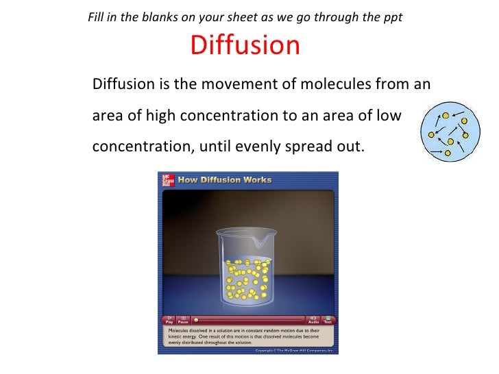 Diffusion And Osmosis Homework Powerpoint