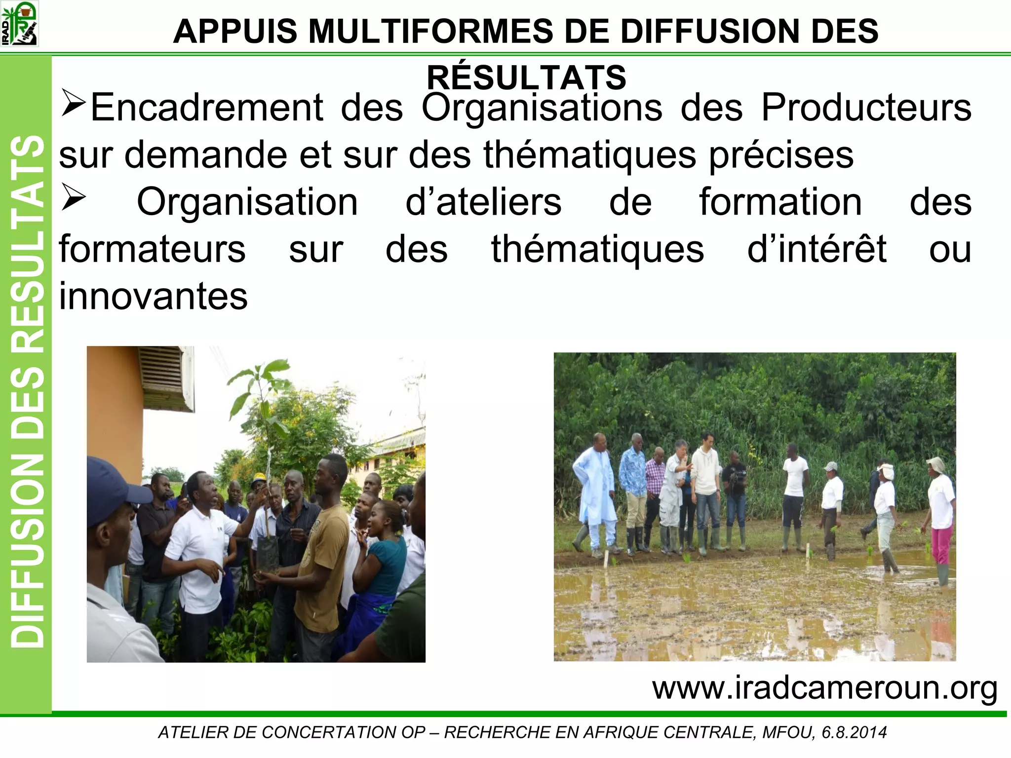 Slide11
DIFFUSIONDESRESULTATS
ATELIER DE CONCERTATION OP – RECHERCHE EN AFRIQUE CENTRALE, MFOU, 6.8.2014
Encadrement des Organisations des Producteurs
sur demande et sur des thématiques précises
Organisation d’ateliers de formation des
formateurs sur des thématiques d’intérêt ou
innovantes
www.iradcameroun.org
APPUIS MULTIFORMES DE DIFFUSION DES
RÉSULTATS