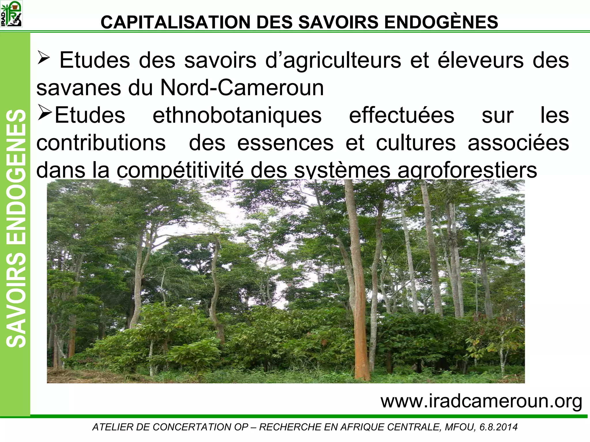 Slide12
SAVOIRSENDOGENES
Etudes des savoirs d’agriculteurs et éleveurs des
savanes du Nord-Cameroun
Etudes ethnobotaniques effectuées sur les
contributions des essences et cultures associées
dans la compétitivité des systèmes agroforestiers
ATELIER DE CONCERTATION OP – RECHERCHE EN AFRIQUE CENTRALE, MFOU, 6.8.2014
CAPITALISATION DES SAVOIRS ENDOGÈNES
www.iradcameroun.org