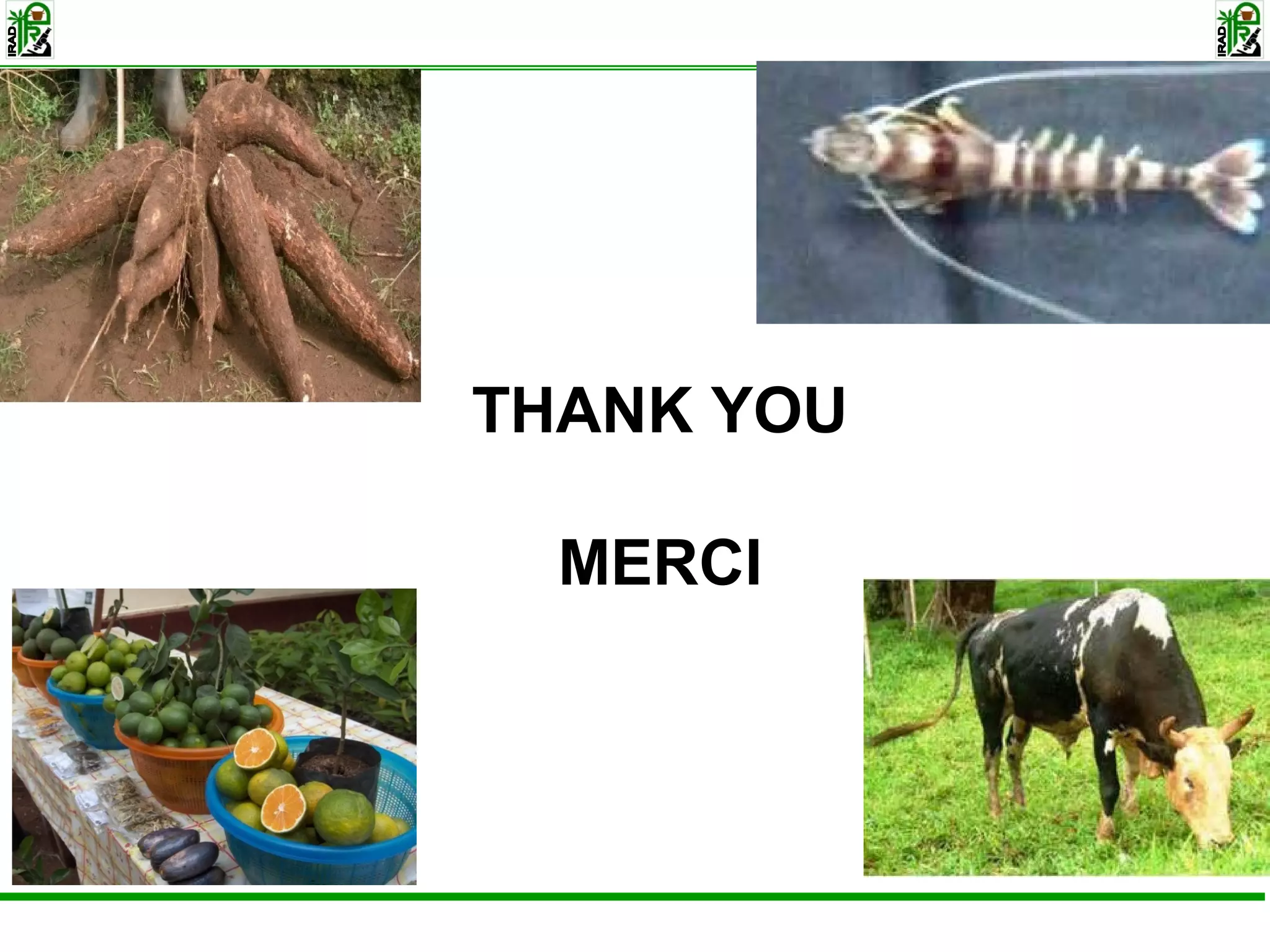 Slide15
THANK YOU
MERCI