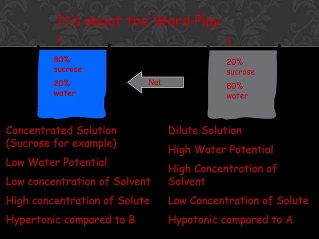 Diffusion Vs Osmosis | PPTX