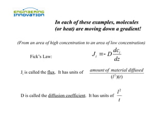 diffusion process and its role .ppt