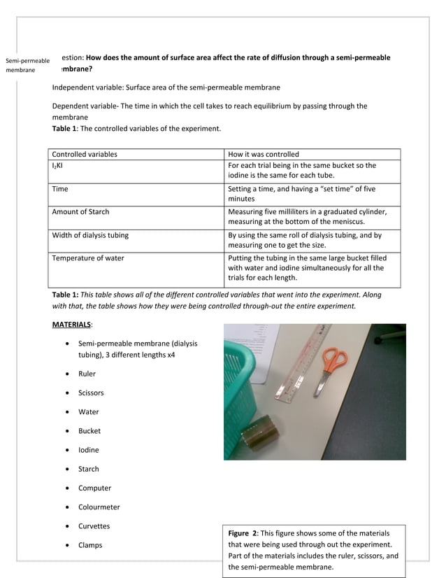 Diffusion lab PDF