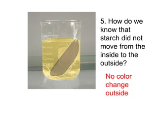 Diffusion Lab Review[1] | PPT