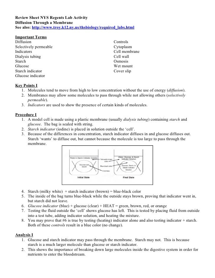 Biology Part D Regents Review Diffusion Through a Membrane