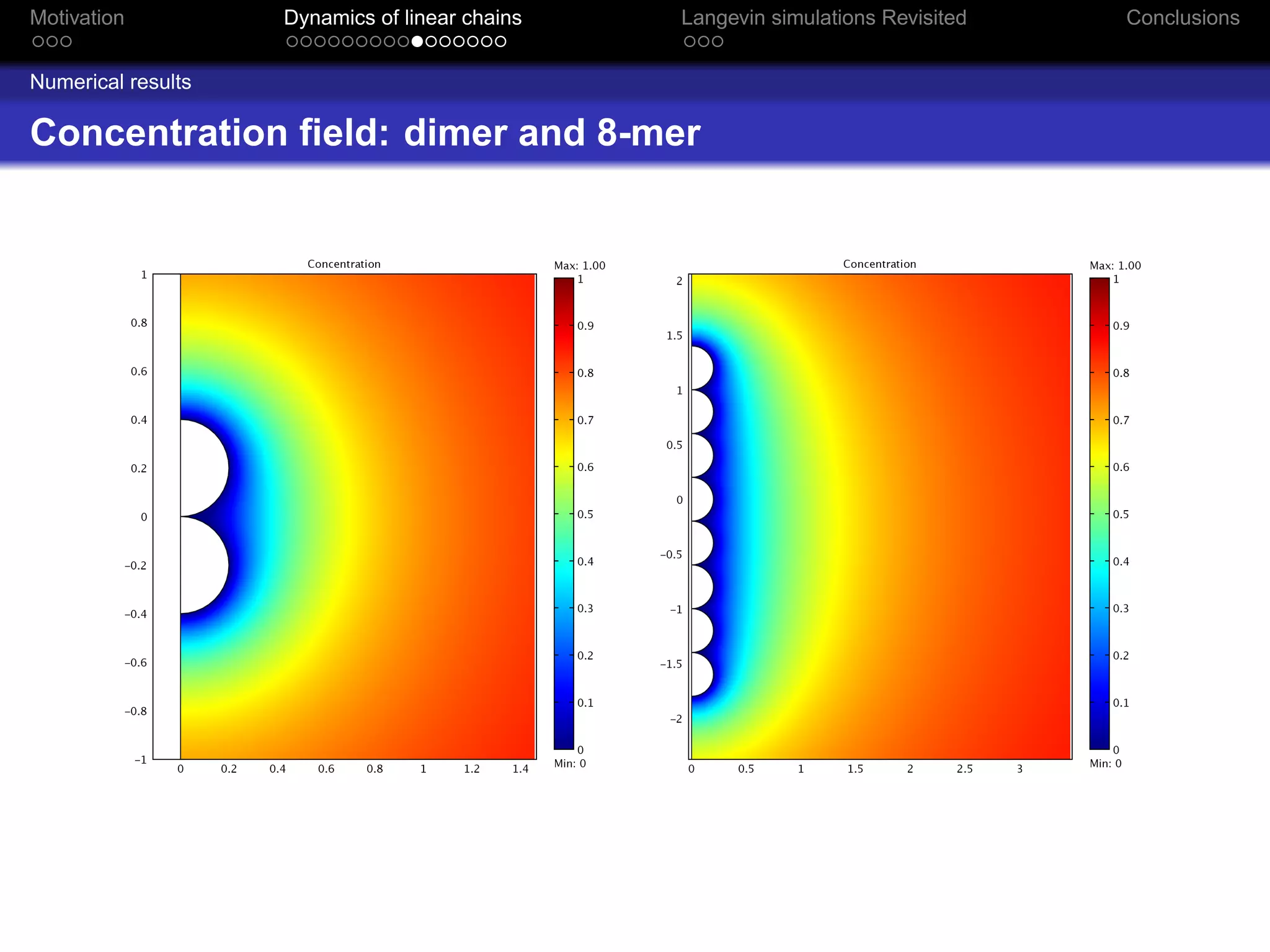 Motivation          Dynamics of linear chains   Langevin simulations Revisited   Conclusions


Numerical results

Concentration ﬁeld: dimer and 8-mer
 