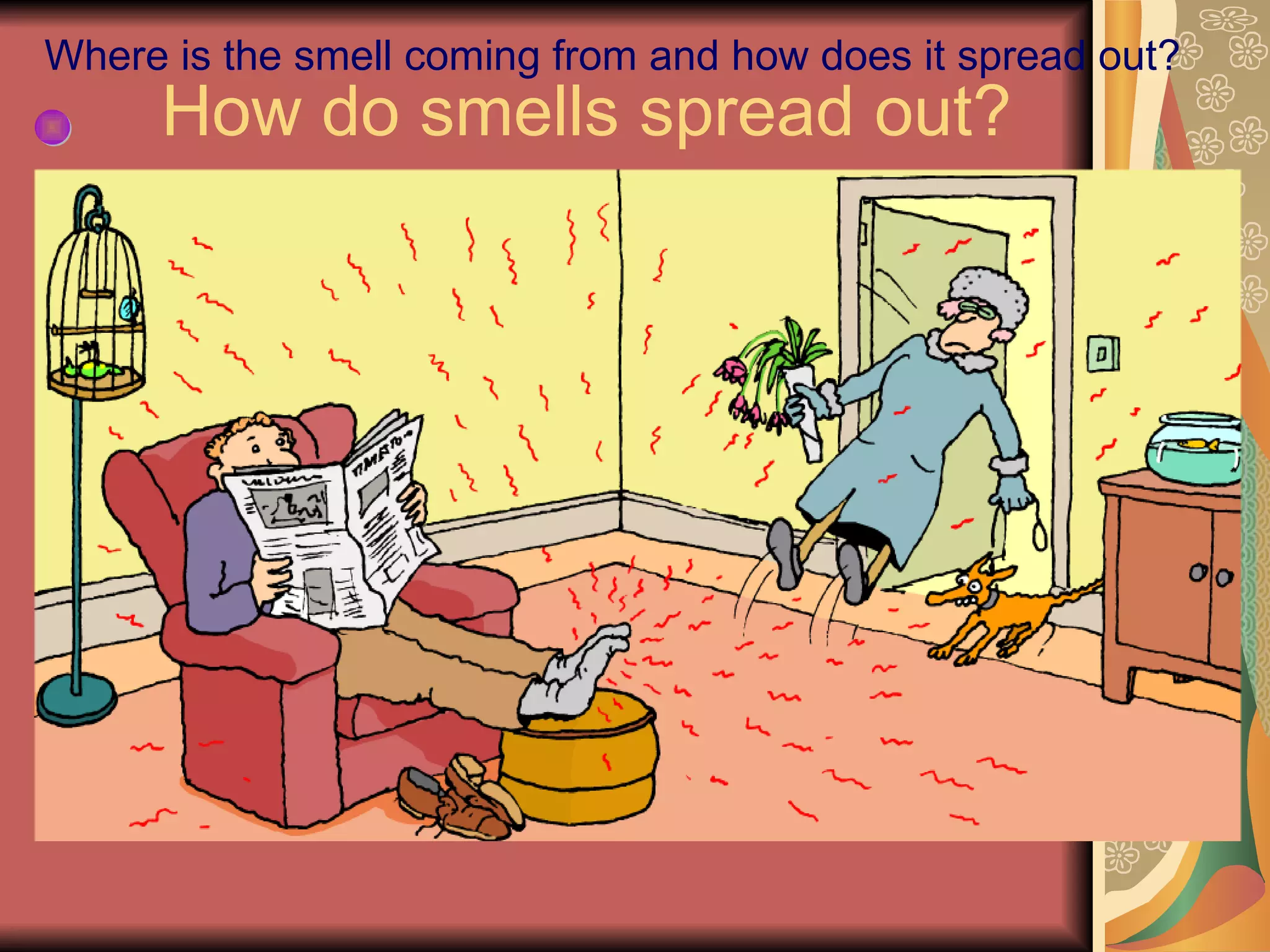 How do smells spread out? Where is the smell coming from and how does it spread out? 