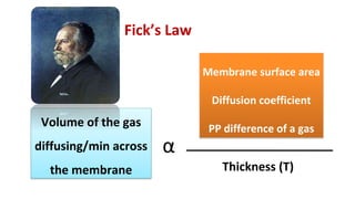 Diffusion of gases.pptx