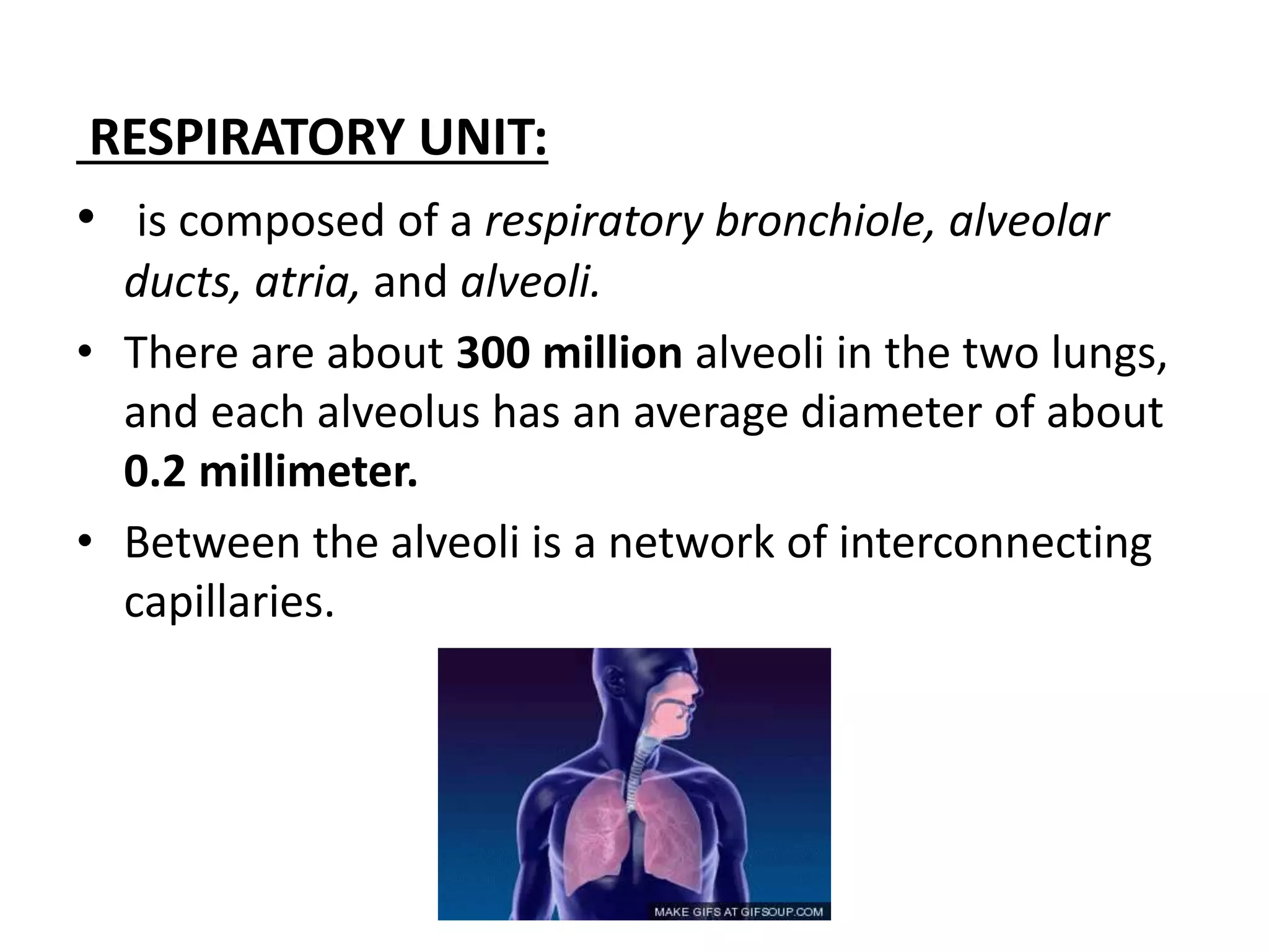 Diffusion of gases through respiratory membrane