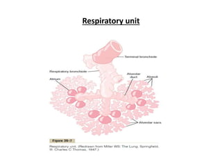 Diffusion of gases through respiratory membrane | PPTX