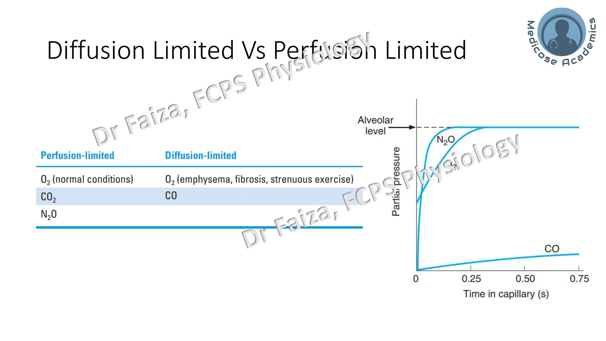 Diffusion of gases through Respiratory Membrane | PDF