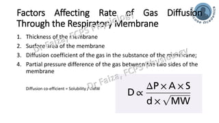 Diffusion of gases through Respiratory Membrane | PDF