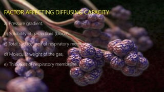 Diffusion of respiratory gasses and reflexes | PPTX
