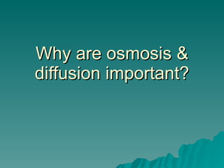 Why are osmosis & diffusion important? 