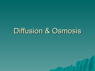 Diffusion & Osmosis 