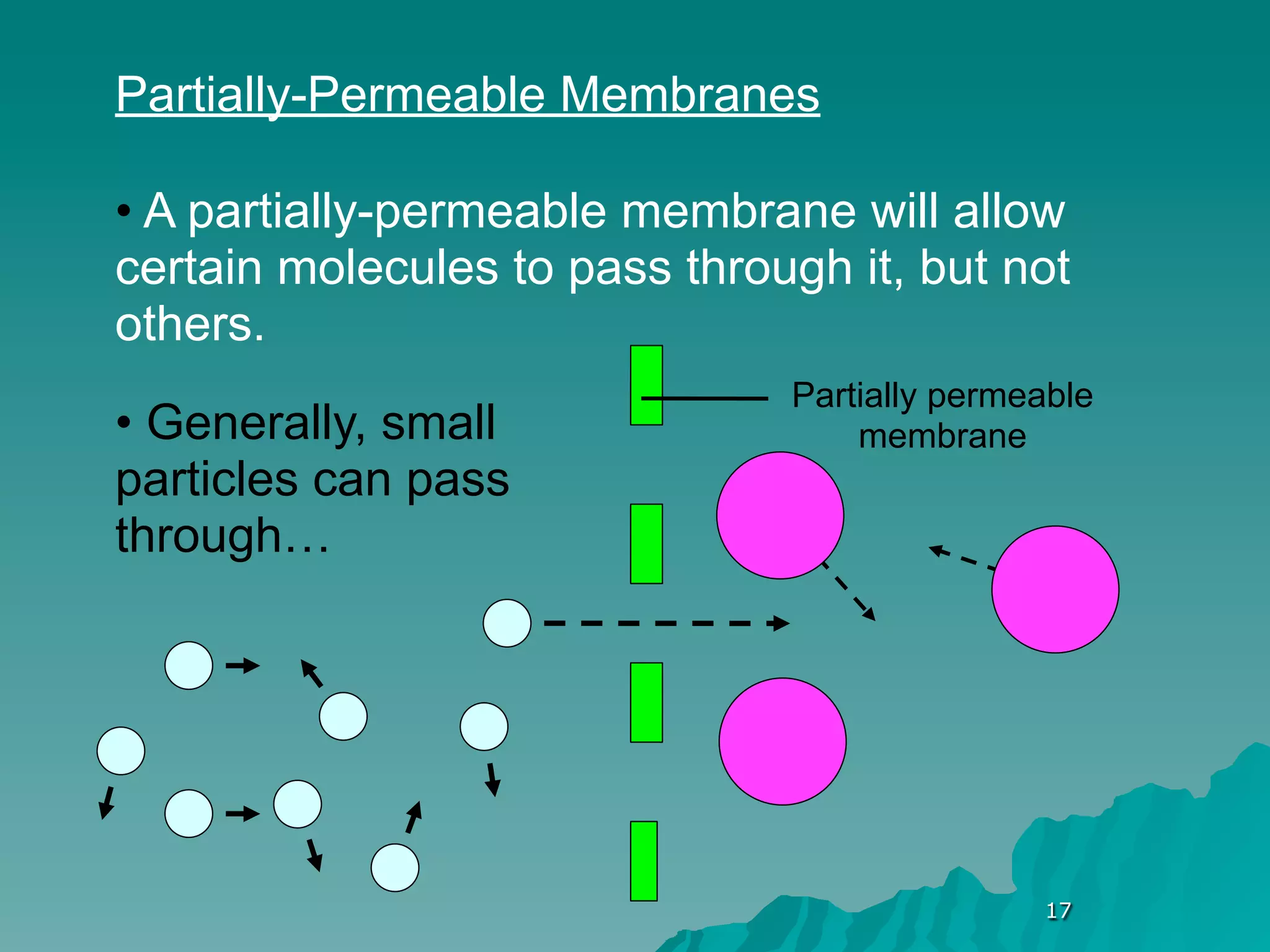 Partially-Permeable Membranes

• A partially-permeable membrane will allow
certain molecules to pass through it, but not
others.
                               Partially permeable
• Generally, small                 membrane
particles can pass
through…




                                              17
 
