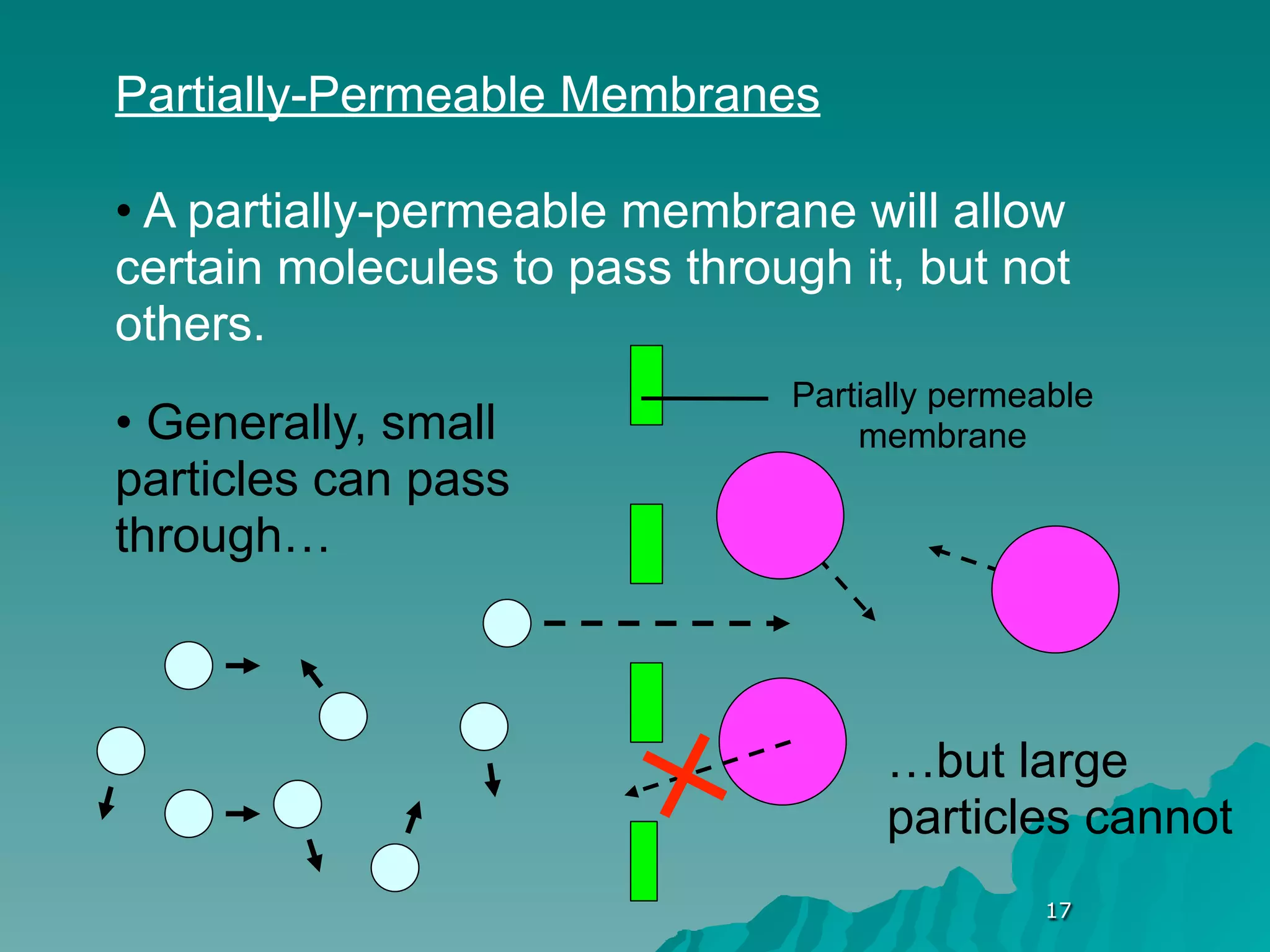 Partially-Permeable Membranes

• A partially-permeable membrane will allow
certain molecules to pass through it, but not
others.
                               Partially permeable
• Generally, small                 membrane
particles can pass
through…



                                    …but large
                                    particles cannot
                                              17
 