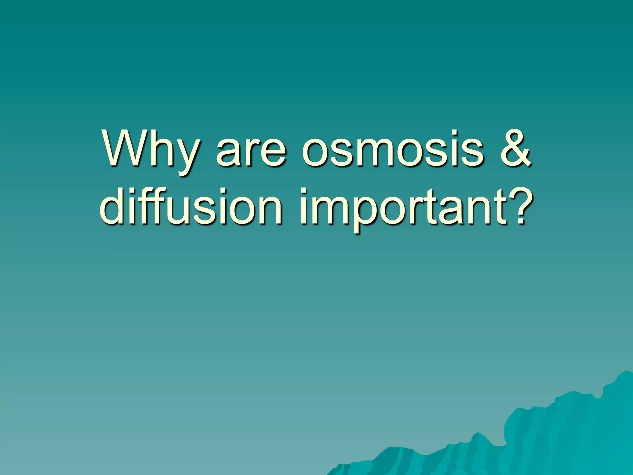 Why are osmosis &
diffusion important?
 