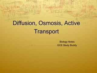 Diffusion, Osmosis, Active
Transport
Biology Notes
GCE Study Buddy
 