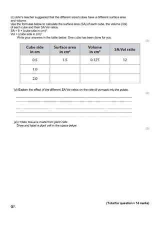 (c) John's teacher suggested that the different sized cubes have a different surface area 
and volume. 
Use the formulae below to calculate the surface area (SA) of each cube, the volume (Vol) 
of each cube and their SA:Vol ratios. 
SA = 6 × (cube side in cm)2 
Vol = (cube side in cm)3 
Write your answers in the table below. One cube has been done for you. 
(3) 
(d) Explain the effect of the different SA:Vol ratios on the rate of osmosis into the potato. 
(2) 
.............................................................................................................................................. 
.............................................................................................................................................. 
.............................................................................................................................................. 
.............................................................................................................................................. 
.............................................................................................................................................. 
.............................................................................................................................................. 
(e) Potato tissue is made from plant cells. 
Draw and label a plant cell in the space below. 
(3) 
(Total for question = 14 marks) 
Q7. 
 
