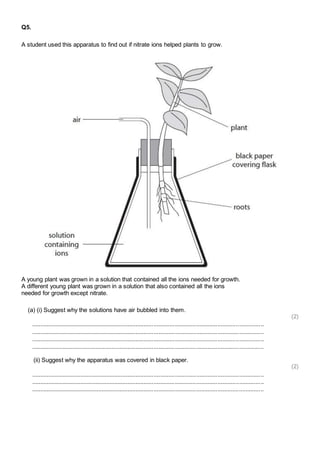 Q5. 
A student used this apparatus to find out if nitrate ions helped plants to grow. 
A young plant was grown in a solution that contained all the ions needed for growth. 
A different young plant was grown in a solution that also contained all the ions 
needed for growth except nitrate. 
(a) (i) Suggest why the solutions have air bubbled into them. 
(2) 
.............................................................................................................................................. 
.............................................................................................................................................. 
.............................................................................................................................................. 
.............................................................................................................................................. 
(ii) Suggest why the apparatus was covered in black paper. 
(2) 
.............................................................................................................................................. 
.............................................................................................................................................. 
.............................................................................................................................................. 
 