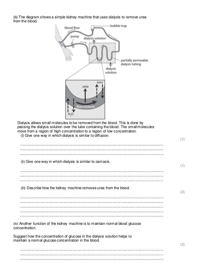 Diffusion Osmosis And Active Transport Practice Questions