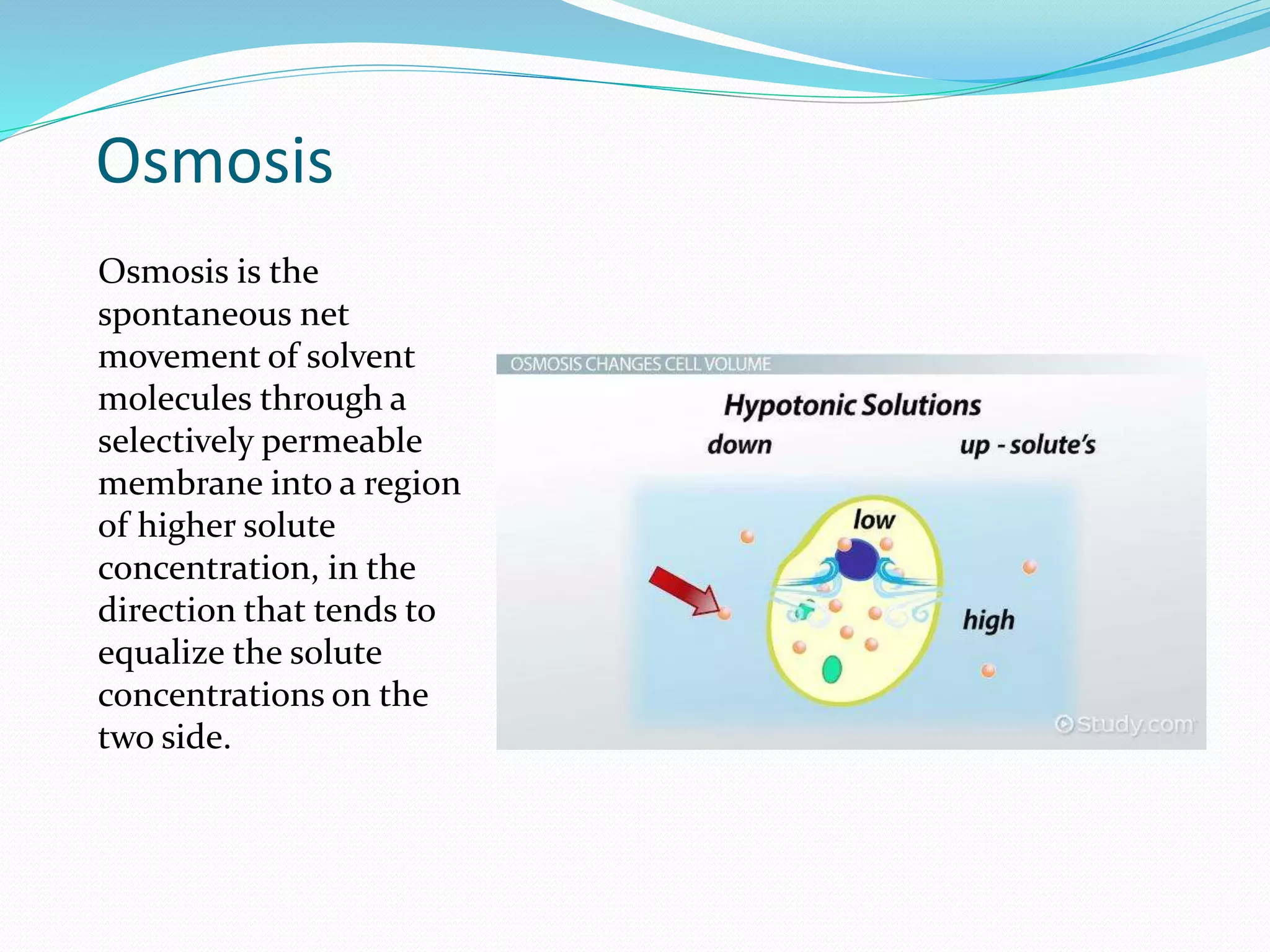 Osmosis
Osmosis is the
spontaneous net
movement of solvent
molecules through a
selectively permeable
membrane into a region
of higher solute
concentration, in the
direction that tends to
equalize the solute
concentrations on the
two side.
 