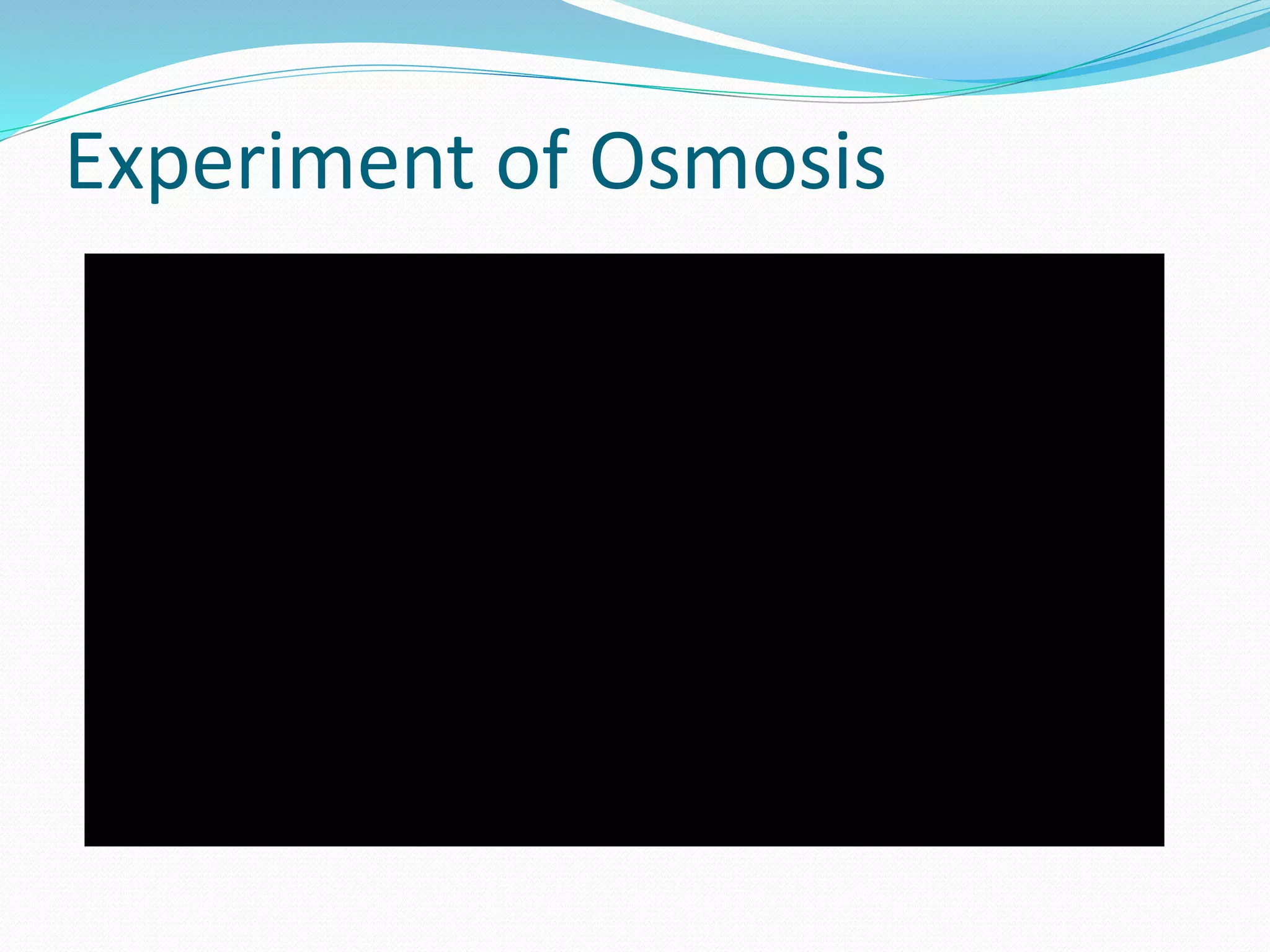 Experiment of Osmosis
 