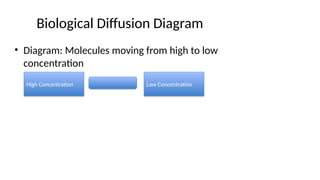 Diffusion_Principles_HD_with_Diagrams.pptx