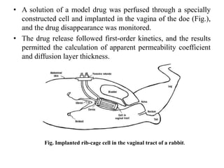 • A solution of a model drug was perfused through a specially
constructed cell and implanted in the vagina of the doe (Fig.),
and the drug disappearance was monitored.
• The drug release followed first-order kinetics, and the results
permitted the calculation of apparent permeability coefficient
and diffusion layer thickness.
Fig. Implanted rib-cage cell in the vaginal tract of a rabbit.
 