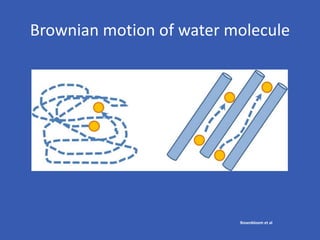 Brownian motion of water molecule
Rosenbloom et al
 