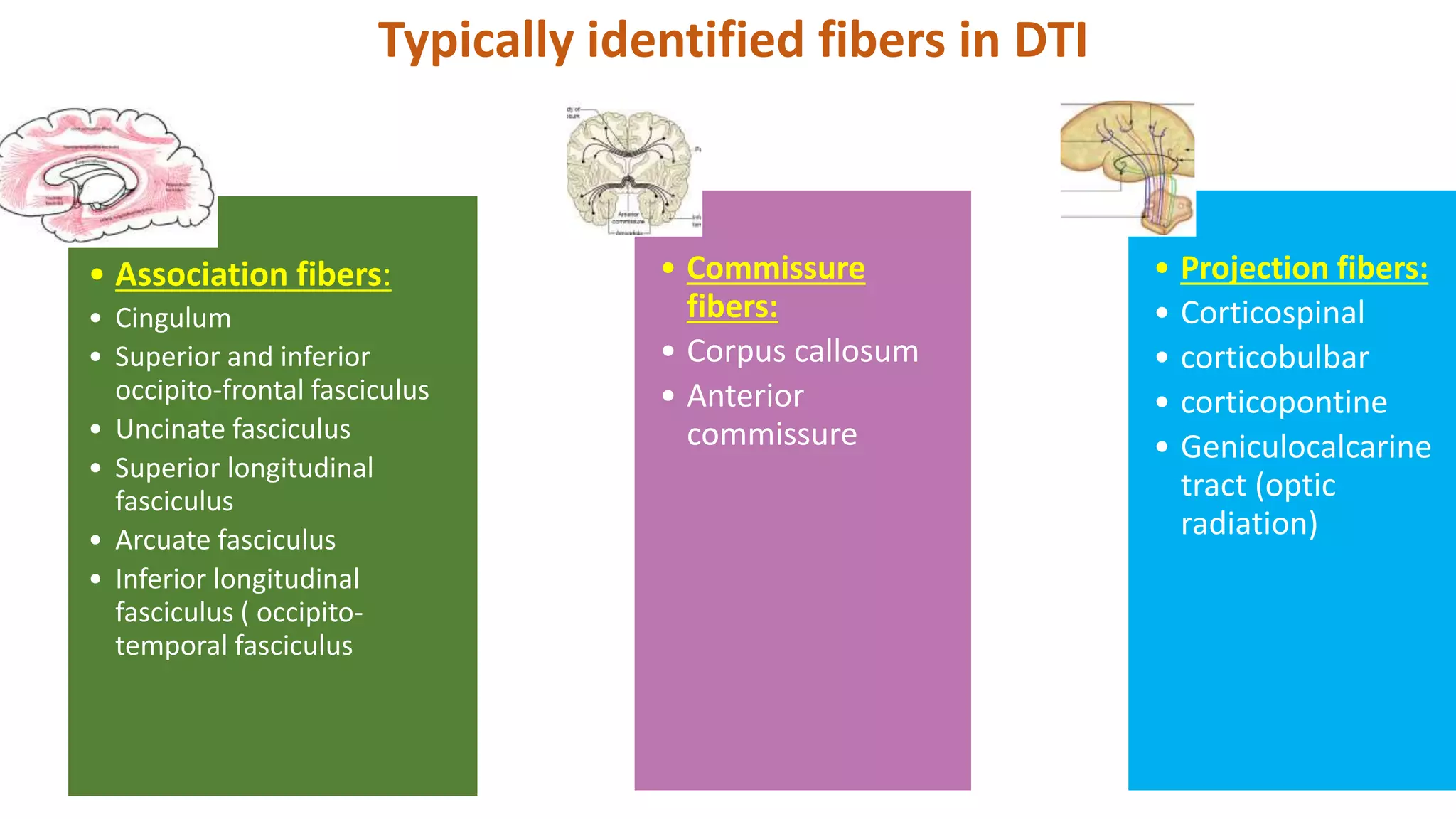 • Association fibers:
• Cingulum
• Superior and inferior
occipito-frontal fasciculus
• Uncinate fasciculus
• Superior longitudinal
fasciculus
• Arcuate fasciculus
• Inferior longitudinal
fasciculus ( occipito-
temporal fasciculus
• Commissure
fibers:
• Corpus callosum
• Anterior
commissure
• Projection fibers:
• Corticospinal
• corticobulbar
• corticopontine
• Geniculocalcarine
tract (optic
radiation)
Typically identified fibers in DTI
 
