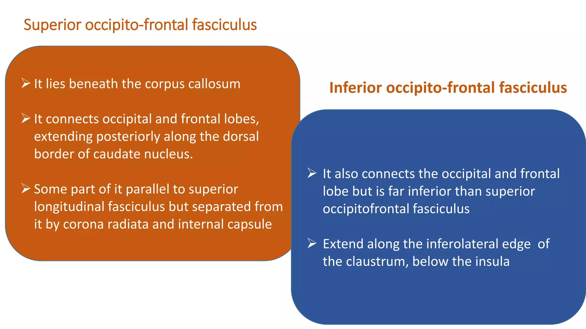 Superior occipito-frontal fasciculus
It lies beneath the corpus callosum
It connects occipital and frontal lobes,
extending posteriorly along the dorsal
border of caudate nucleus.
Some part of it parallel to superior
longitudinal fasciculus but separated from
it by corona radiata and internal capsule
 It also connects the occipital and frontal
lobe but is far inferior than superior
occipitofrontal fasciculus
 Extend along the inferolateral edge of
the claustrum, below the insula
Inferior occipito-frontal fasciculus
 