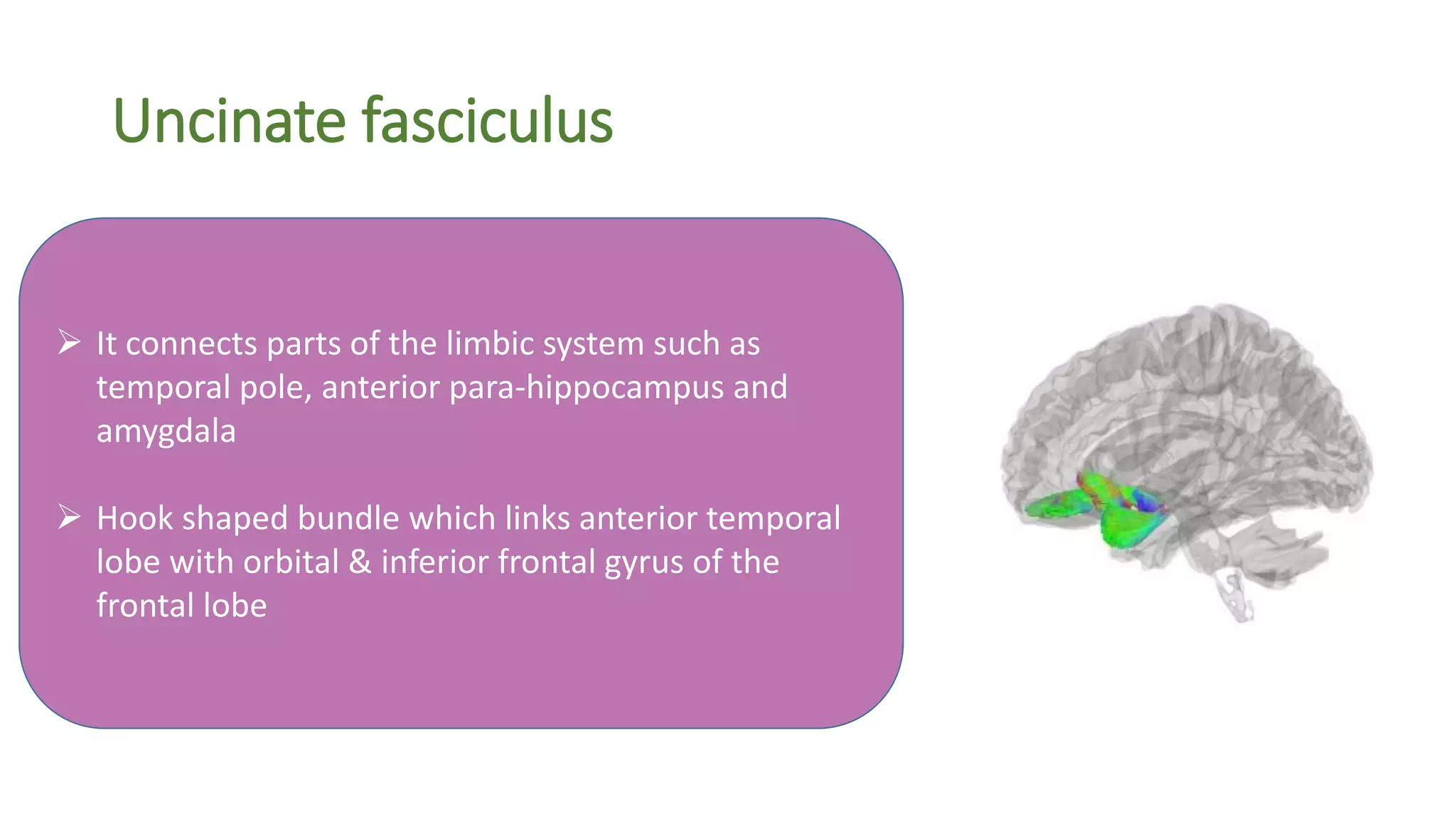 Uncinate fasciculus
 It connects parts of the limbic system such as
temporal pole, anterior para-hippocampus and
amygdala
 Hook shaped bundle which links anterior temporal
lobe with orbital & inferior frontal gyrus of the
frontal lobe
 